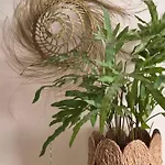 West 7 Апартаменты Зандфорт