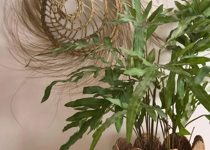 West 7 Lägenhet Zandvoort